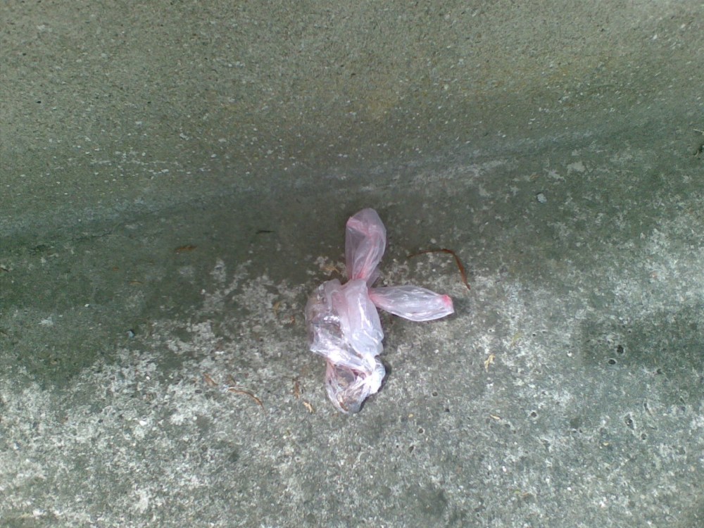 PapasGottaBrandNewPooBag